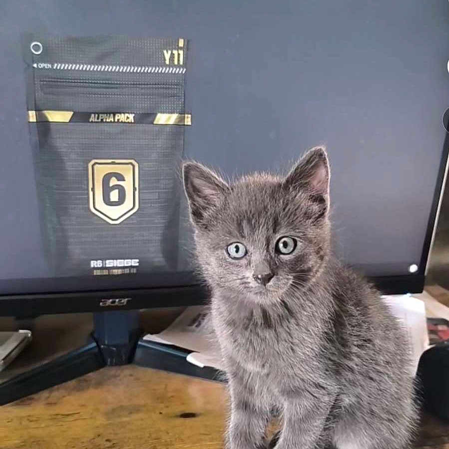 Milo