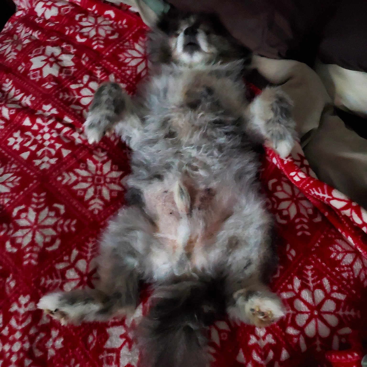 Max