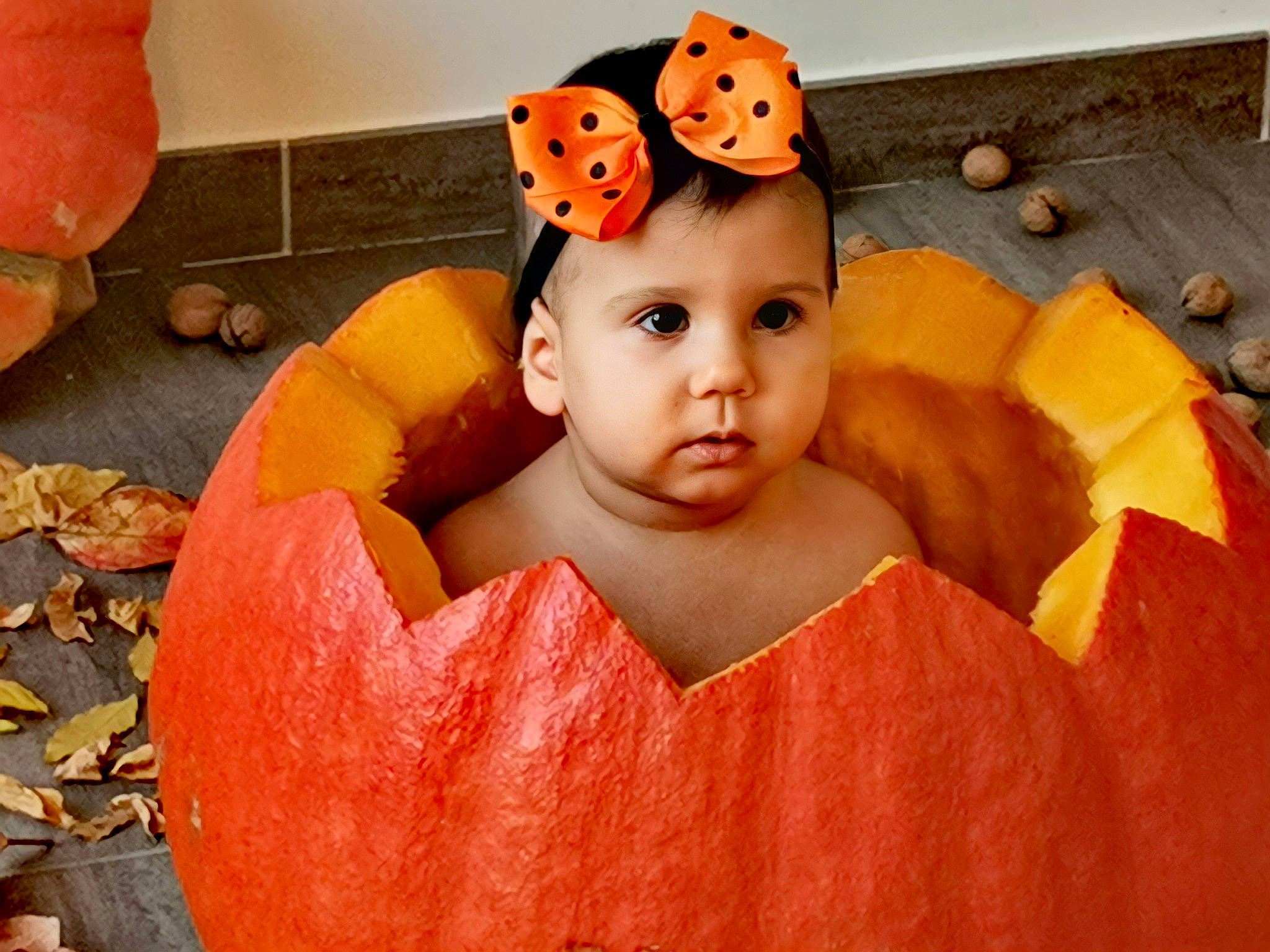 Elea a rejoint le concours — aidez-le/la à gagner de superbes lots ! arthropod, baby, baby_playing_with_toys, baby_products, bathing, calabaza, chest, child, eye, fun, happy, head, headwear, insect, leisure, orange, pattern, person, plant, pumpkin