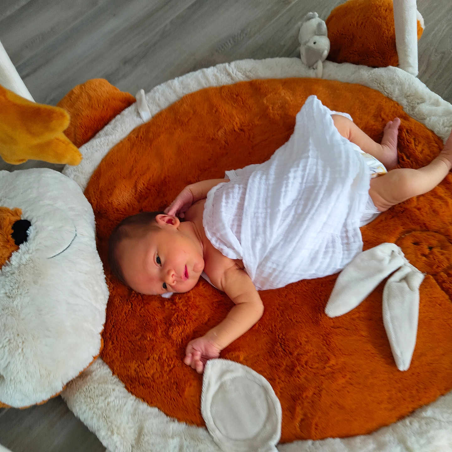 Lorenzo a rejoint le concours — aidez-le/la à gagner de superbes lots ! arms, baby, carpet, child, cute, face, floor, indoors, infant, legs, lying_down, newborn, orange, play_mat, plush_toy, skin, soft_toys, white, wooden_floor, wrapped
