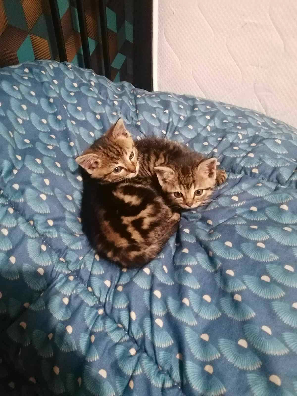 Ulyss Et Una