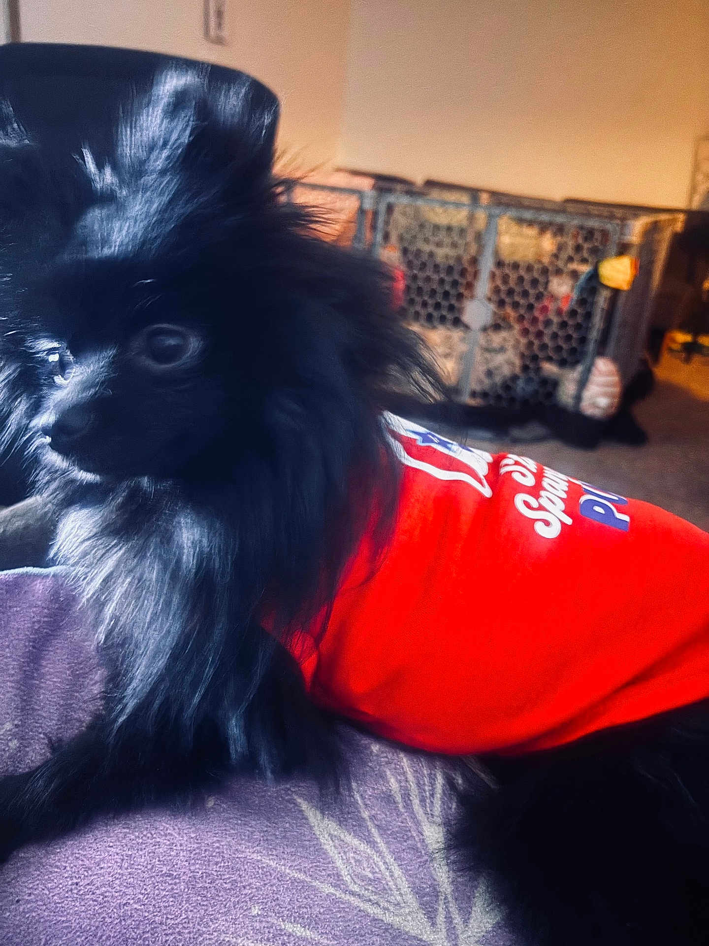 Coco