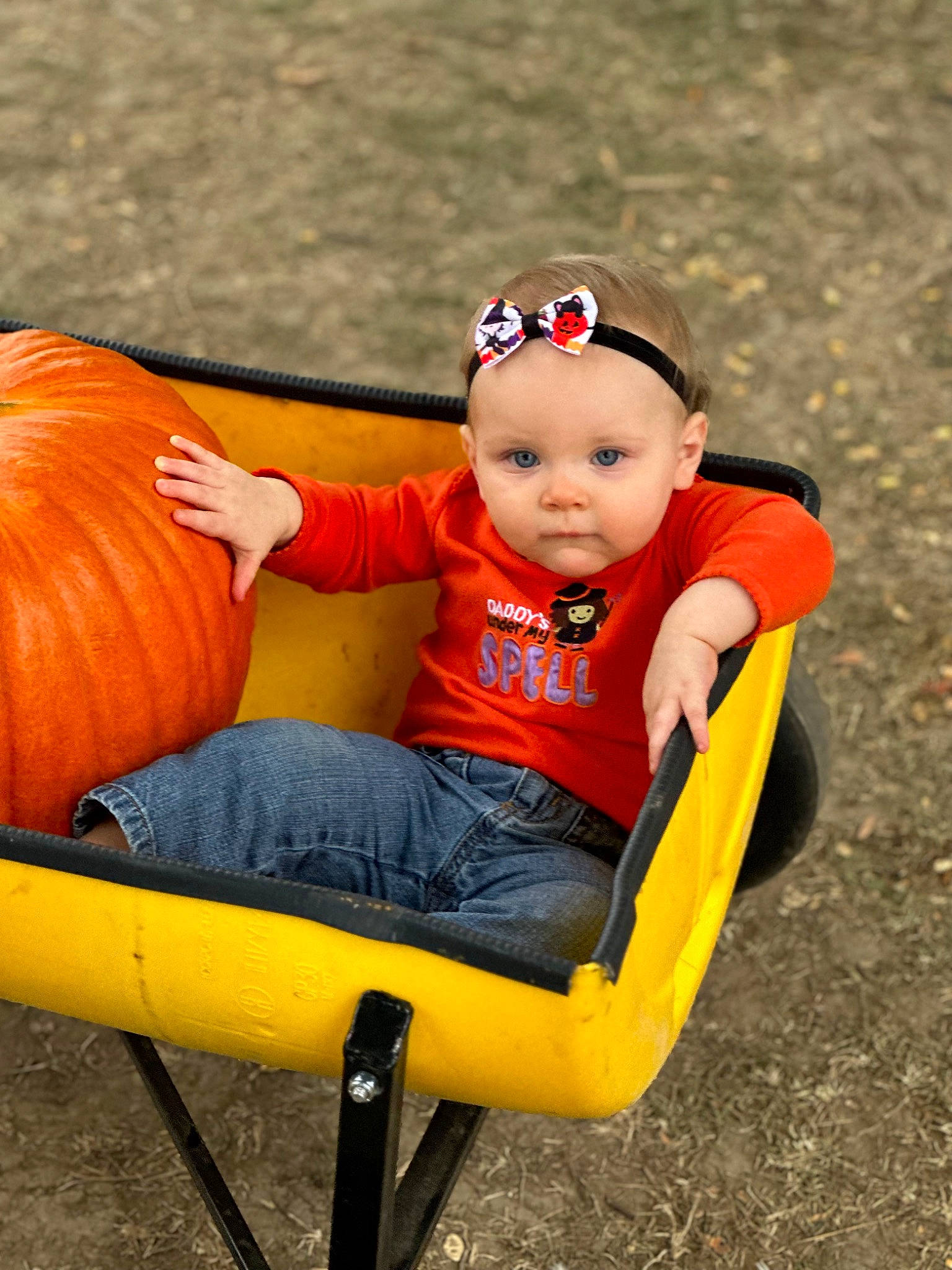 Sally joined the competition — help win amazing prizes! arm, baby_toddler_clothing, calabaza, eye, face, facial_expression, fun, grass, hand, head, headwear, human_body, leg, leisure, orange, organ, person, plant, public_space, pumpkin