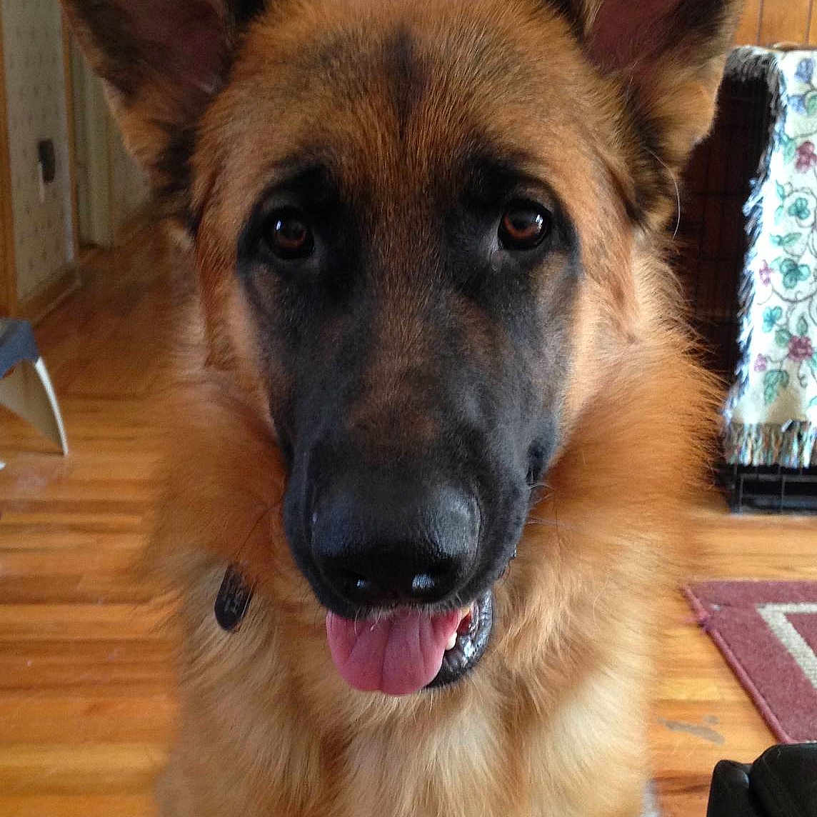 Clashmore Mike joined the competition — help win amazing prizes!