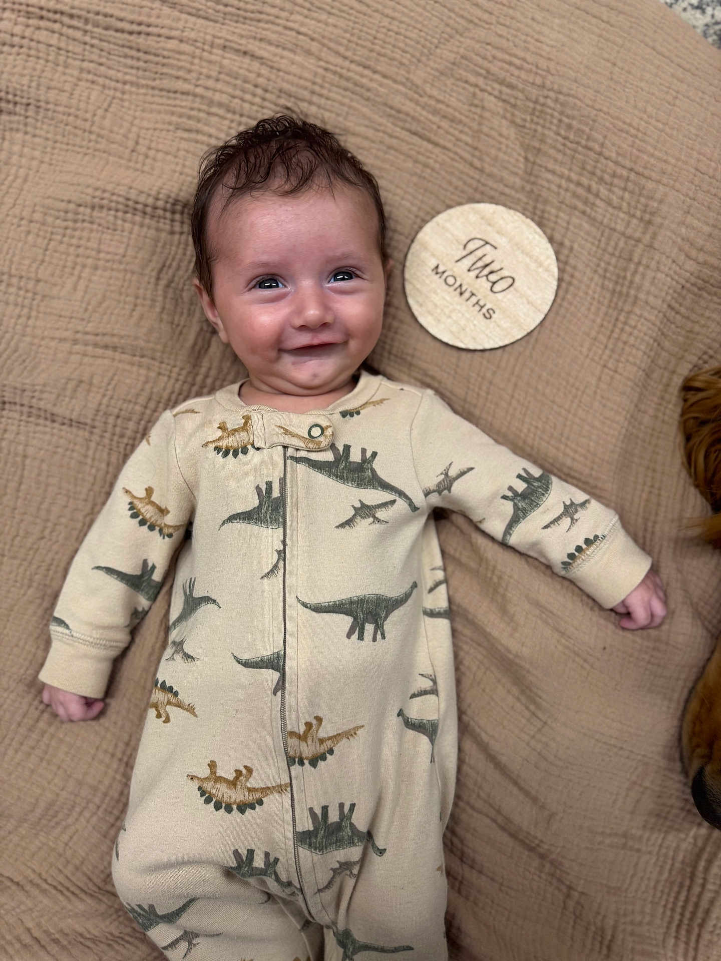 Brewer is registered to the contest to win money with this photo: baby, infant, two_months, smiling, dinosaur_onesie, blanket, milestone_marker, wooden_marker, face, cute, lying_down, cozy, soft_texture, animal_friend, pet, fur, portrait, indoor, child, happy
