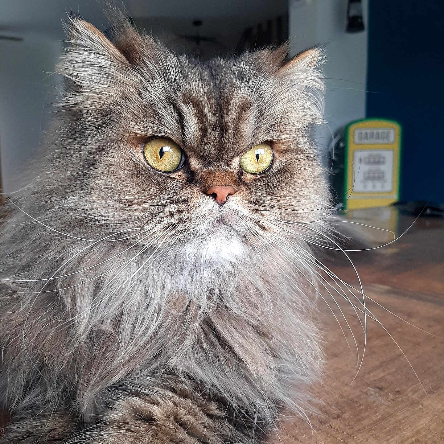 Pablo