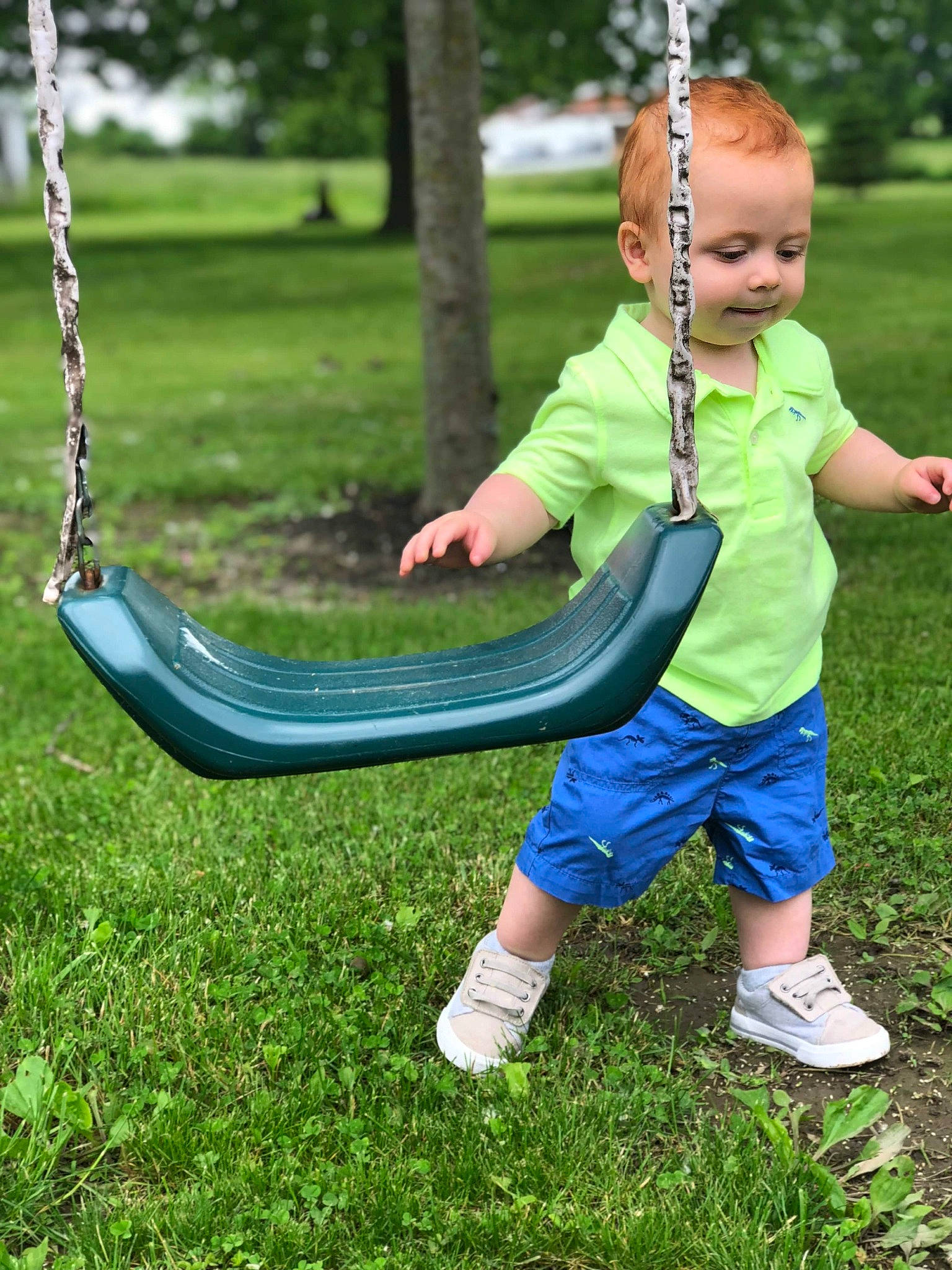 Maverick is registered to the contest to win money with this photo: child, fun, grass, hammock, leisure, outdoor_play_equipment, person, plant, play, playground, public_space, recreation, swing, toddler, tree