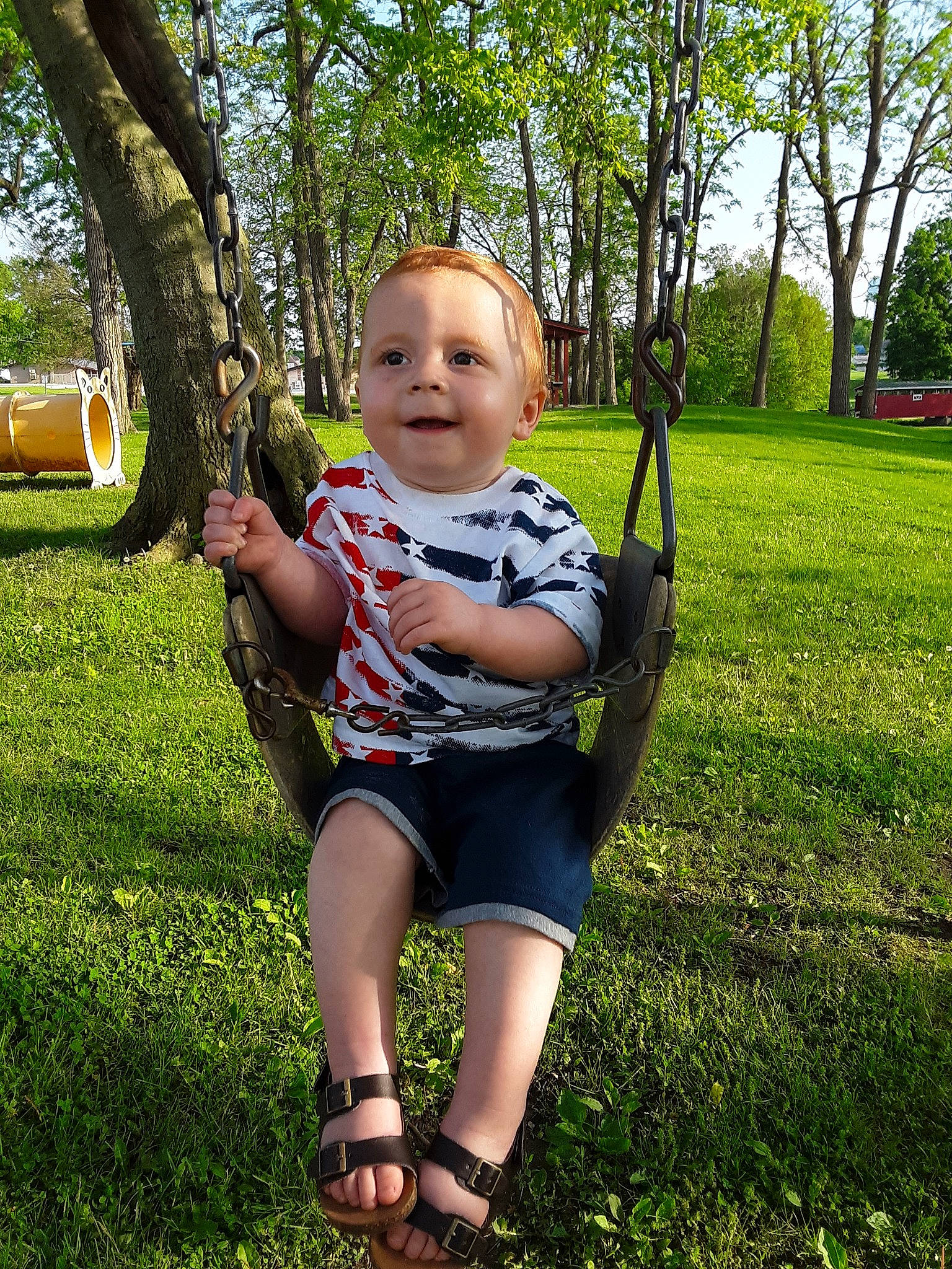 Maverick is registered to the contest to win money with this photo: baby, child, fun, grass, green, hand, happy, leaf, leg, park, person, plant, skin, smile, spring, summer, swing, toddler, tree, vacation