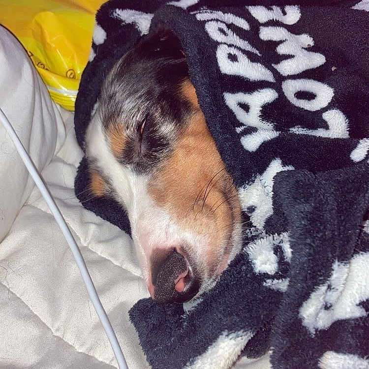 Heidi