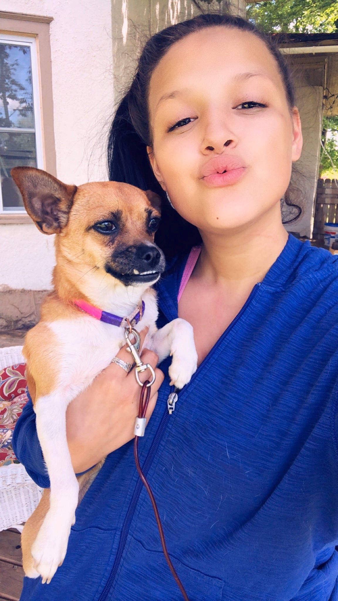 Bella joined the competition — help win amazing prizes! canidae, carnivore, chihuahua, companion_dog, dog, dog_breed, fawn, mammal, puppy, puppy_love, skin, snout, toy_dog