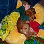 Volf a rejoint le concours — aidez-le/la à gagner de superbes lots ! blanket, brown_dog, carpet, child, comfort, cute, dog, floor, friendship, green, home, hugging, indoor, pajamas, plush_cushion, red, resting, sleeping, toy, yellow