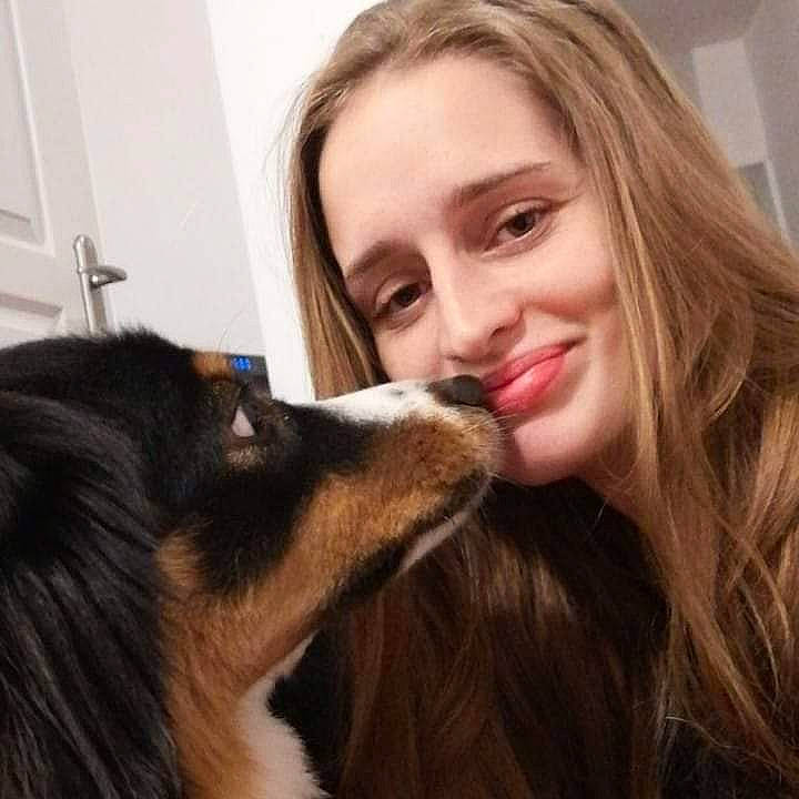 Ottawa Et Rolex participe au concours pour gagner de l'argent avec cette photo : beauty, brown_hair, carnivore, companion_dog, dog, dog_breed, ear, eyelash, fawn, fur, gesture, happy, jaw, nose, smile, snout, sporting_group, terrestrial_animal, whiskers, working_animal