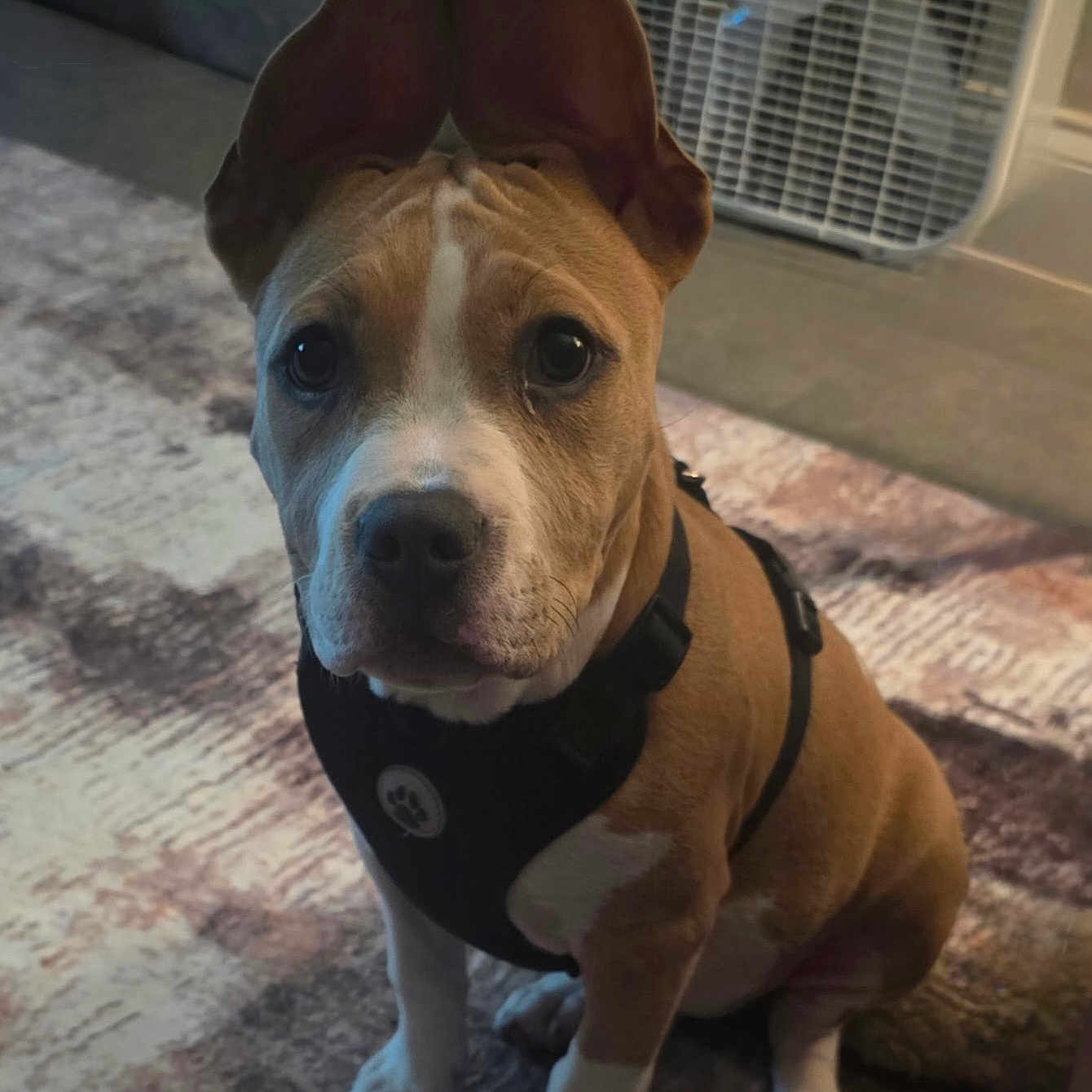 Keena