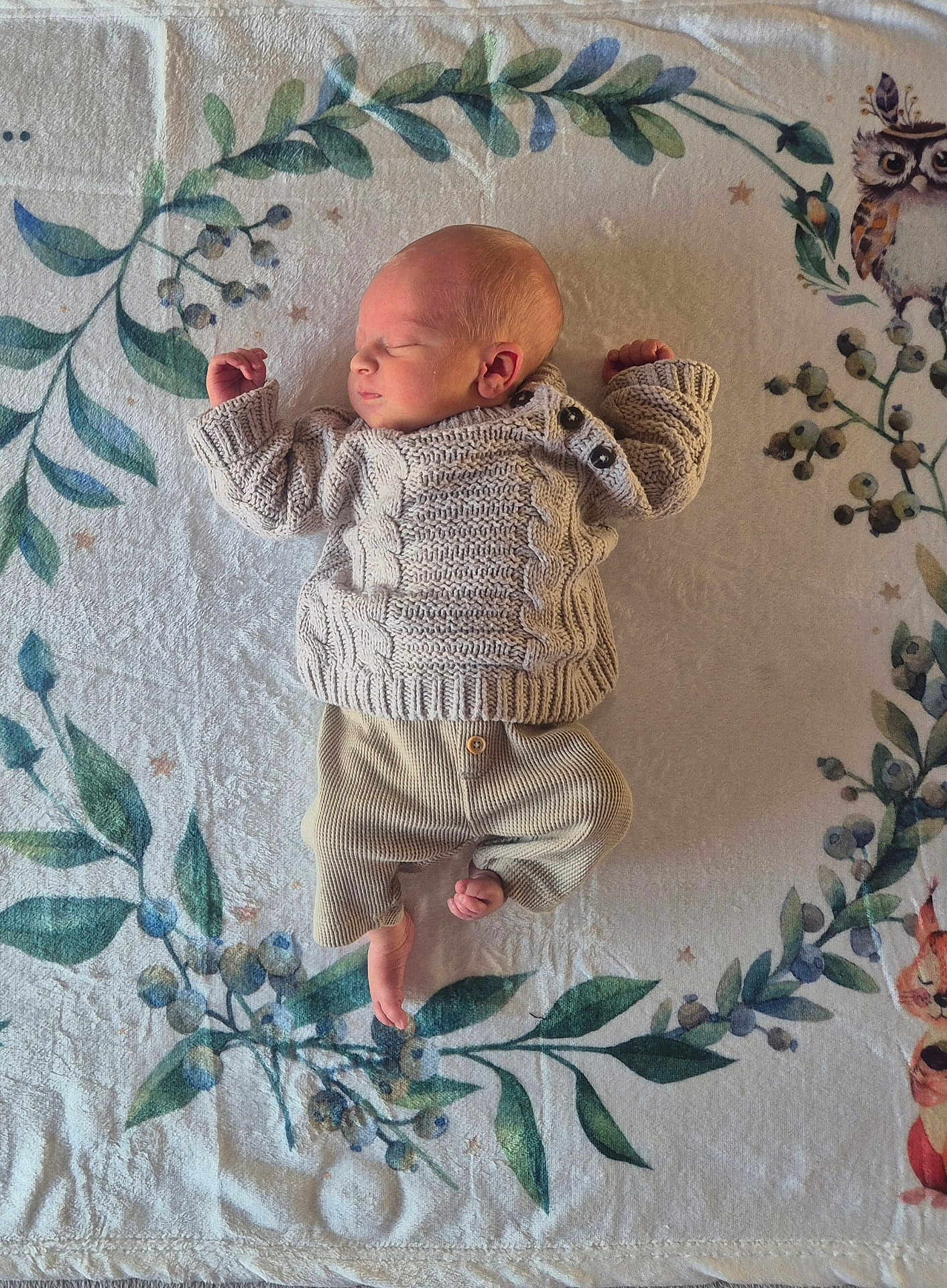 Paul a rejoint le concours — aidez-le/la à gagner de superbes lots ! baby, newborn, sleeping, blanket, knitwear, sweater, pants, infant, soft_texture, pattern, owl_illustration, leaves, peaceful, cute, child, portrait, laying_down, indoor, cozy, small_feet
