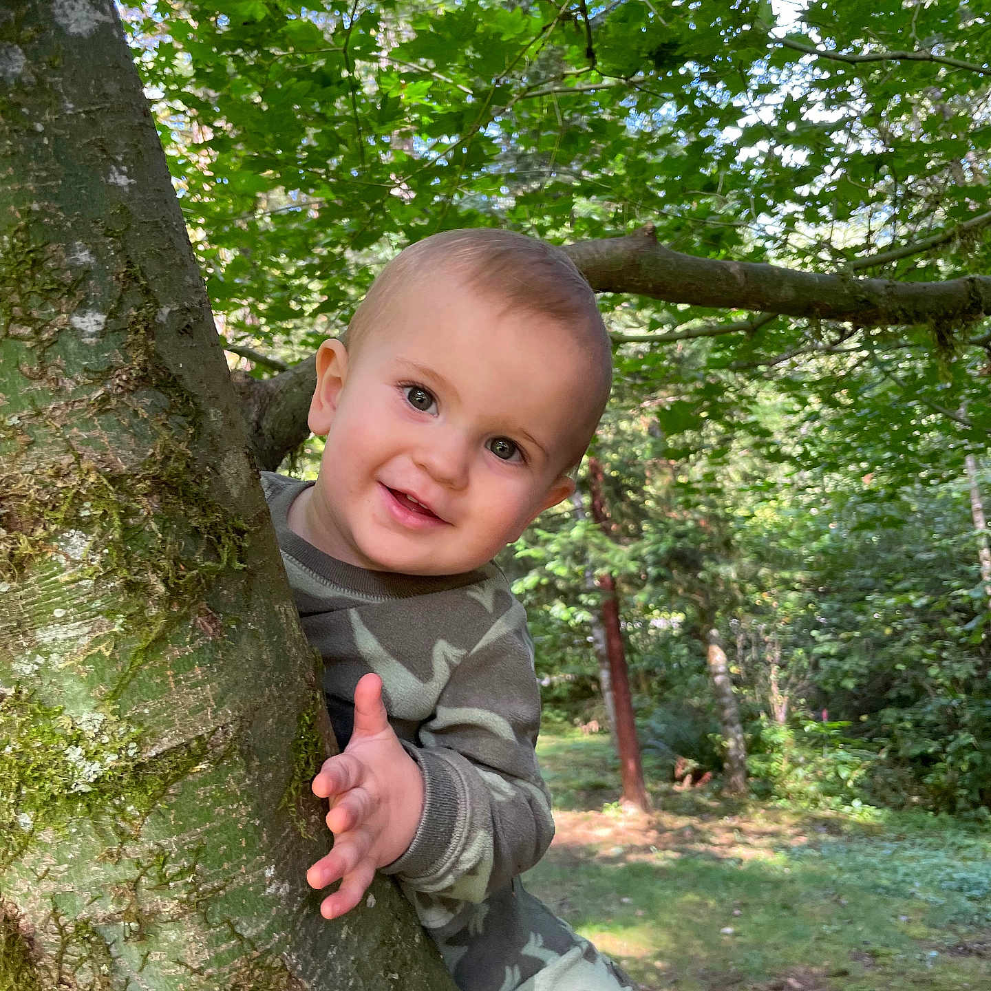 Sebastion