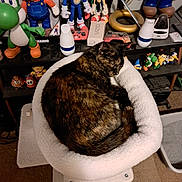 Tigerlilly joined the competition — help win amazing prizes! cat, tortoiseshell_cat, sleeping, curled_up, pet, animal, plush_bed, white_bed, video_game_characters, mario, sonic, yoshi, figurines, collectibles, shelf, gaming, indoors, cozy, nap, home_decor