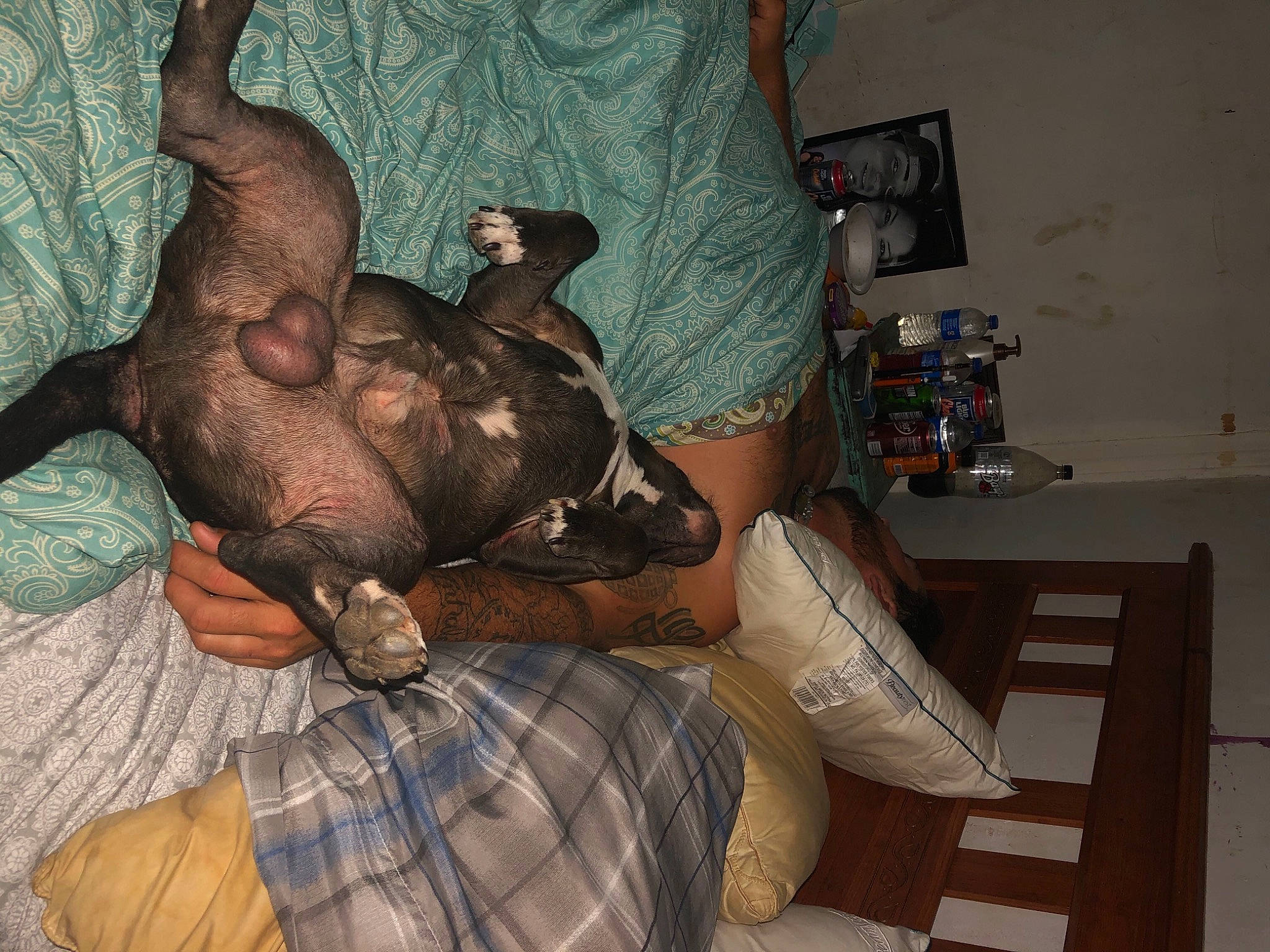 Gauge is registered to the contest to win money with this photo: art, flesh, leg, room