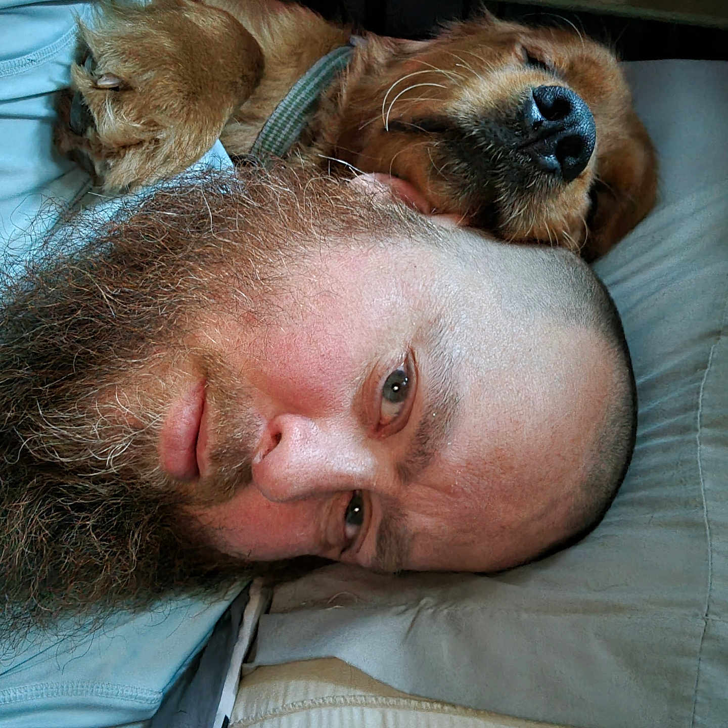 River And Chance is registered to the contest to win money with this photo: animal, beard, bed, casual, closeup, comfort, companion, dog, face, friendship, human, indoor, man, nap, pet, pillow, portrait, relaxing, rest, sleeping