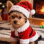 carpet, christmas, christmas_outfit, christmas_tree, cozy, cute, decorations, dog, festive, fireplace, fur, holiday, holiday_season, indoor, pet, puppy, santa_hat, seasonal, small_dog, warm_lighting