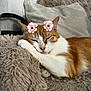 cat, sleeping, orange_and_white, fluffy_blanket, cozy, indoor, resting, cute, pink_nose, ears, flower_stickers, relaxed, pet, fur, whiskers, comfort, animal, domestic_cat, feline, nap