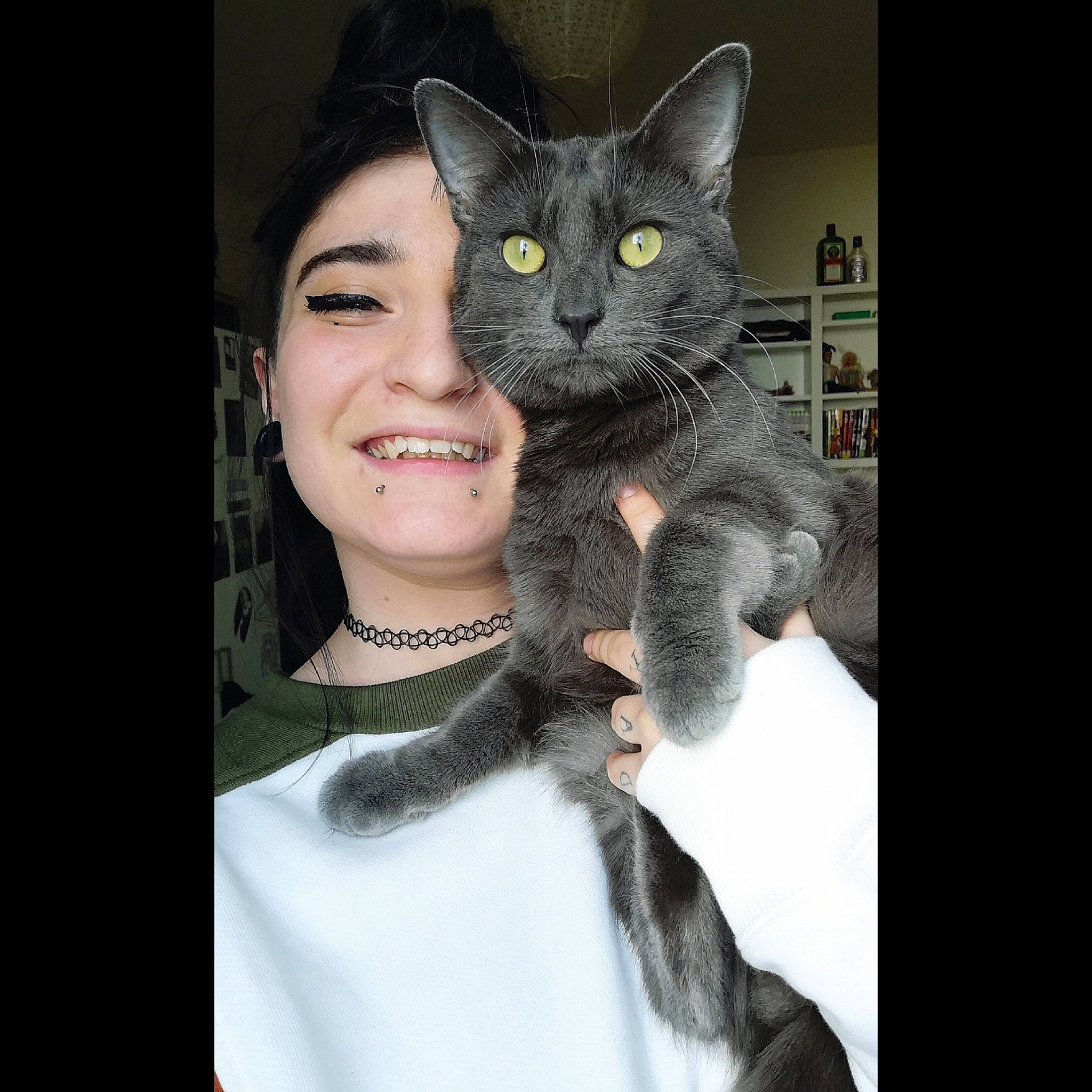 Jahseh participe au concours pour gagner de l'argent avec cette photo : asian, black_cat, carnivore, cat, domestic_short_haired_cat, ear, european_shorthair, eye, face, facial_expression, felidae, head, iris, joy, mammal, organ, person, skin, small_to_medium_sized_cats, snapshot