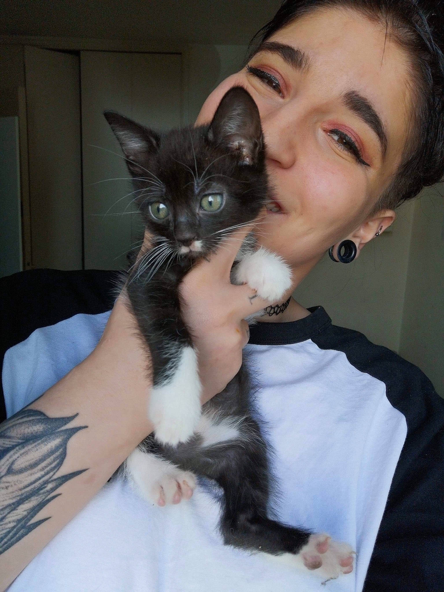 Gucci a rejoint le concours — aidez-le/la à gagner de superbes lots ! asian, black_hair, carnivore, cat, domestic_short_haired_cat, ear, felidae, fur, iris, kitten, person, skin, small_to_medium_sized_cats, whiskers