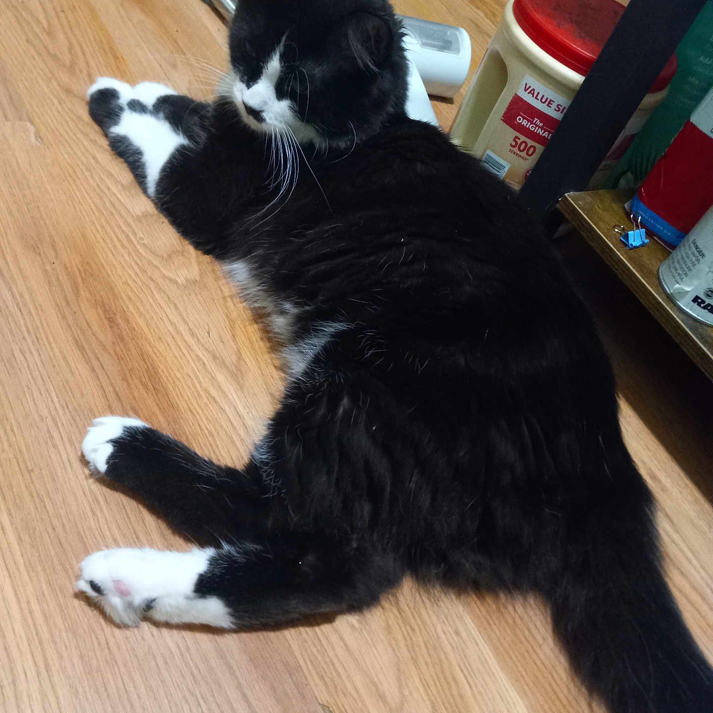 Hatice Darzanov is registered to the contest to win money with this photo: black_and_white, cat, cleaning_tool, close_up, container, domestic, floorboard, fur, hardwood_floor, indoor, lying_down, mop, paws, pet, red_lid, relaxed, shelf, tail, tuxedo_cat, whiskers