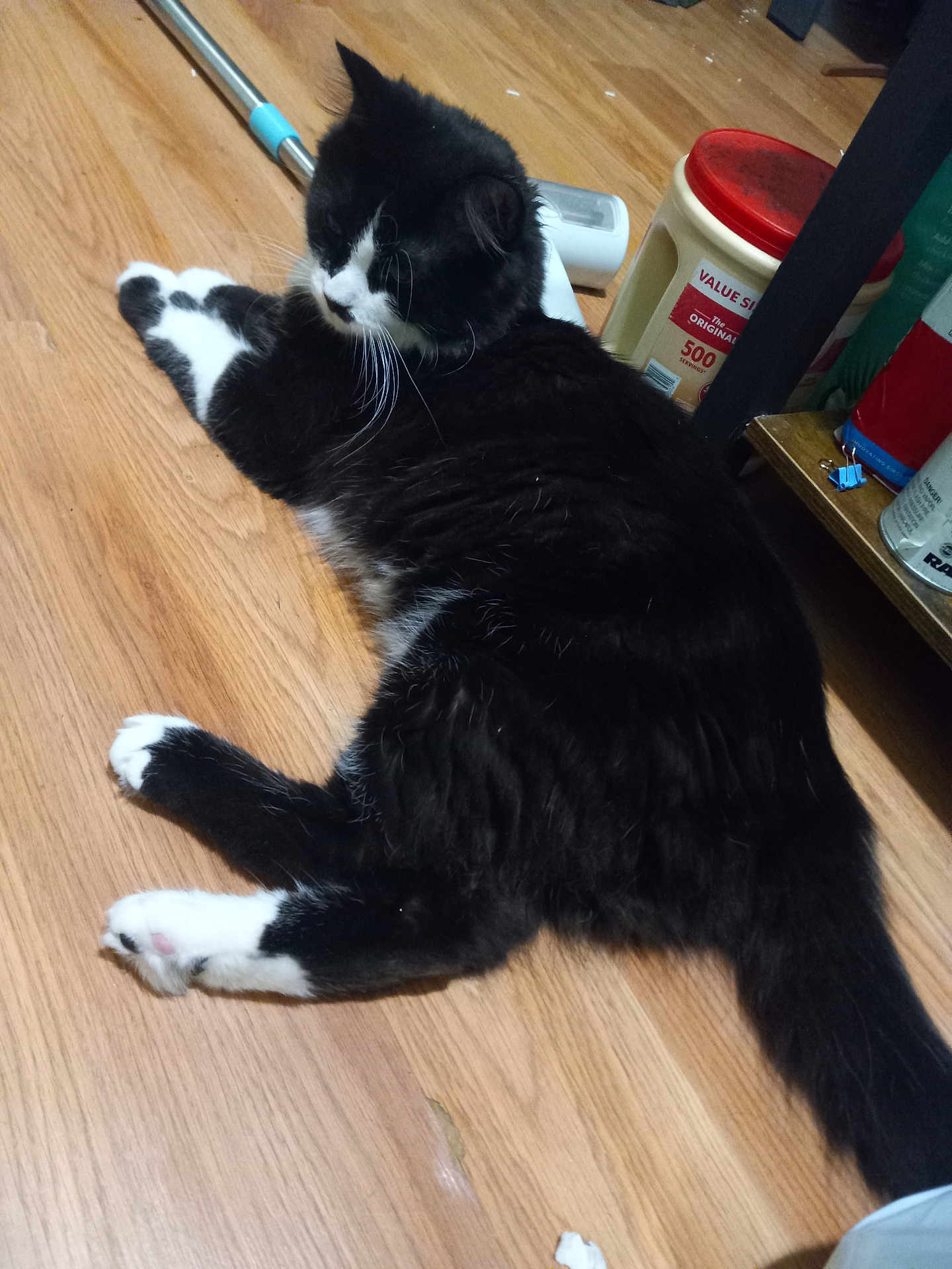 Hatice Darzanov is registered to the contest to win money with this photo: cat, tuxedo_cat, black_and_white, indoor, hardwood_floor, pet, whiskers, paws, tail, relaxed, lying_down, shelf, container, red_lid, cleaning_tool, mop, floorboard, domestic, fur, close_up