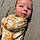 Asher