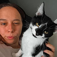 Youki participe au concours pour gagner de l'argent avec cette photo : animal, black_and_white_cat, casual, cat, close_up, companion, cute, domestic_animal, face, feline, hand, holding_pet, indoor, person, pet, portrait, relaxed, resting, white_shirt, young_adult