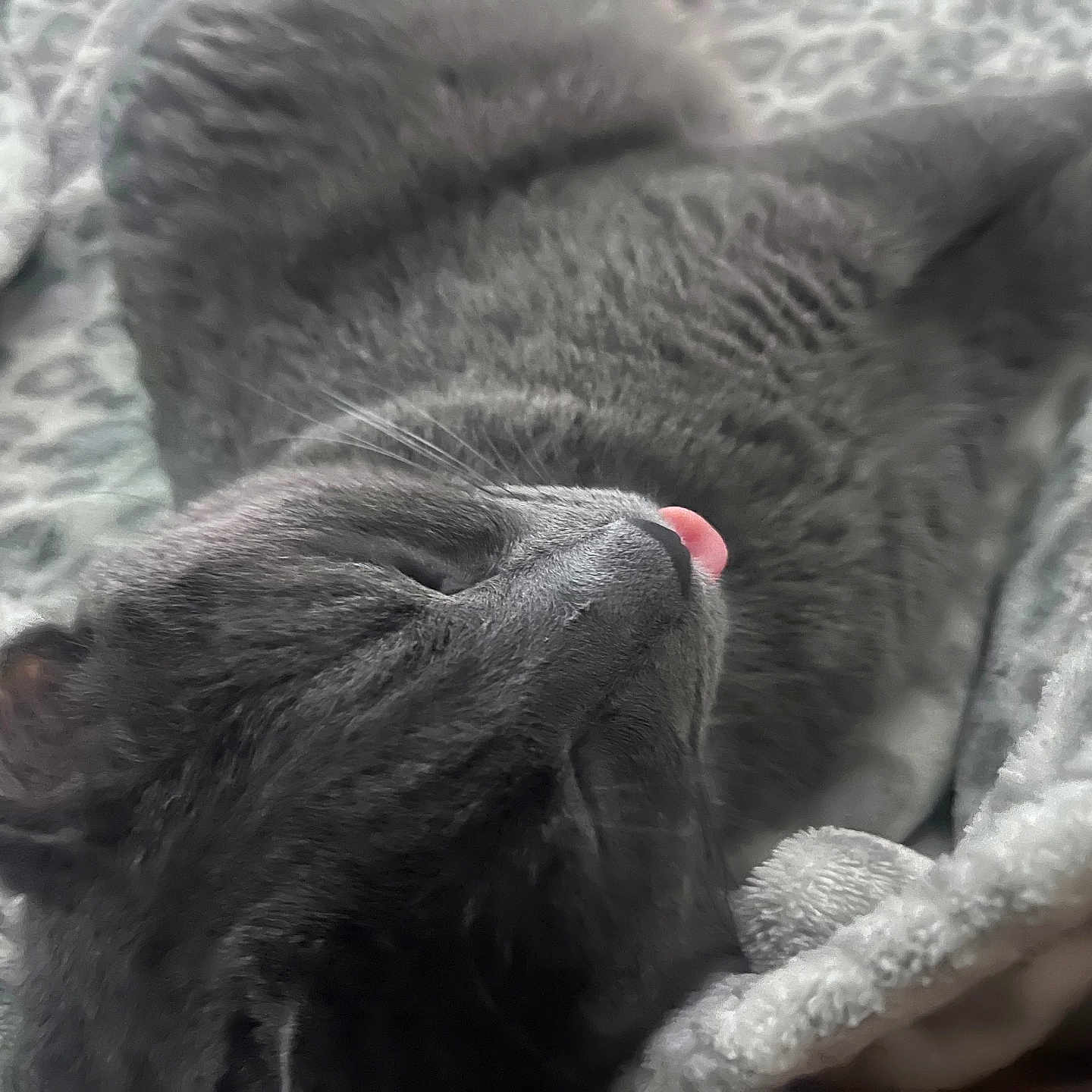 Cosmo