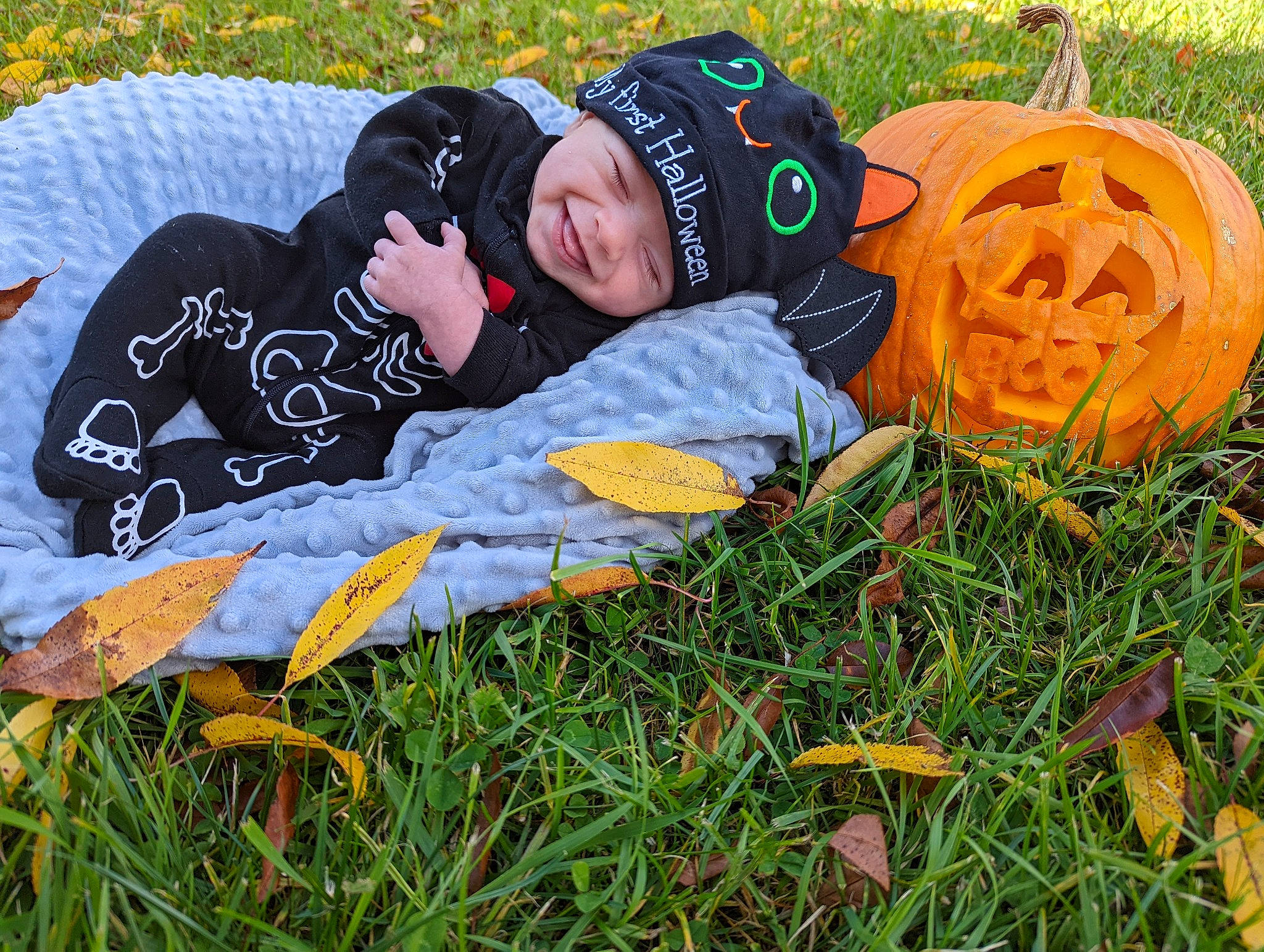Dean is registered to the contest to win money with this photo: calabaza, facial_expression, grass, grass_family, grassland, happy, hat, headgear, headwear, jacket, joy, lawn, leaf, leisure, meadow, people, people_in_nature, person, plant, pumpkin
