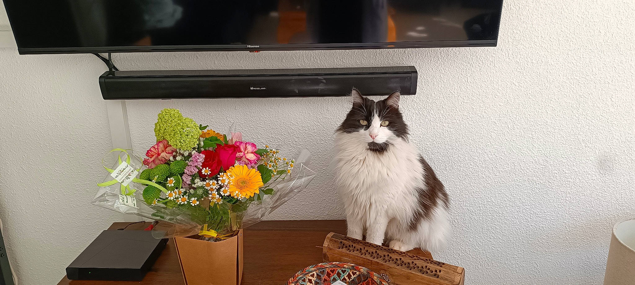 Joya participe au concours pour gagner de l'argent avec cette photo : artificial_flower, bouquet, carnivore, cat, couch, cut_flowers, felidae, flower, flower_arranging, flowerpot, houseplant, petal, plant, rectangle, small_to_medium_sized_cats, table, tail, whiskers, window, wood