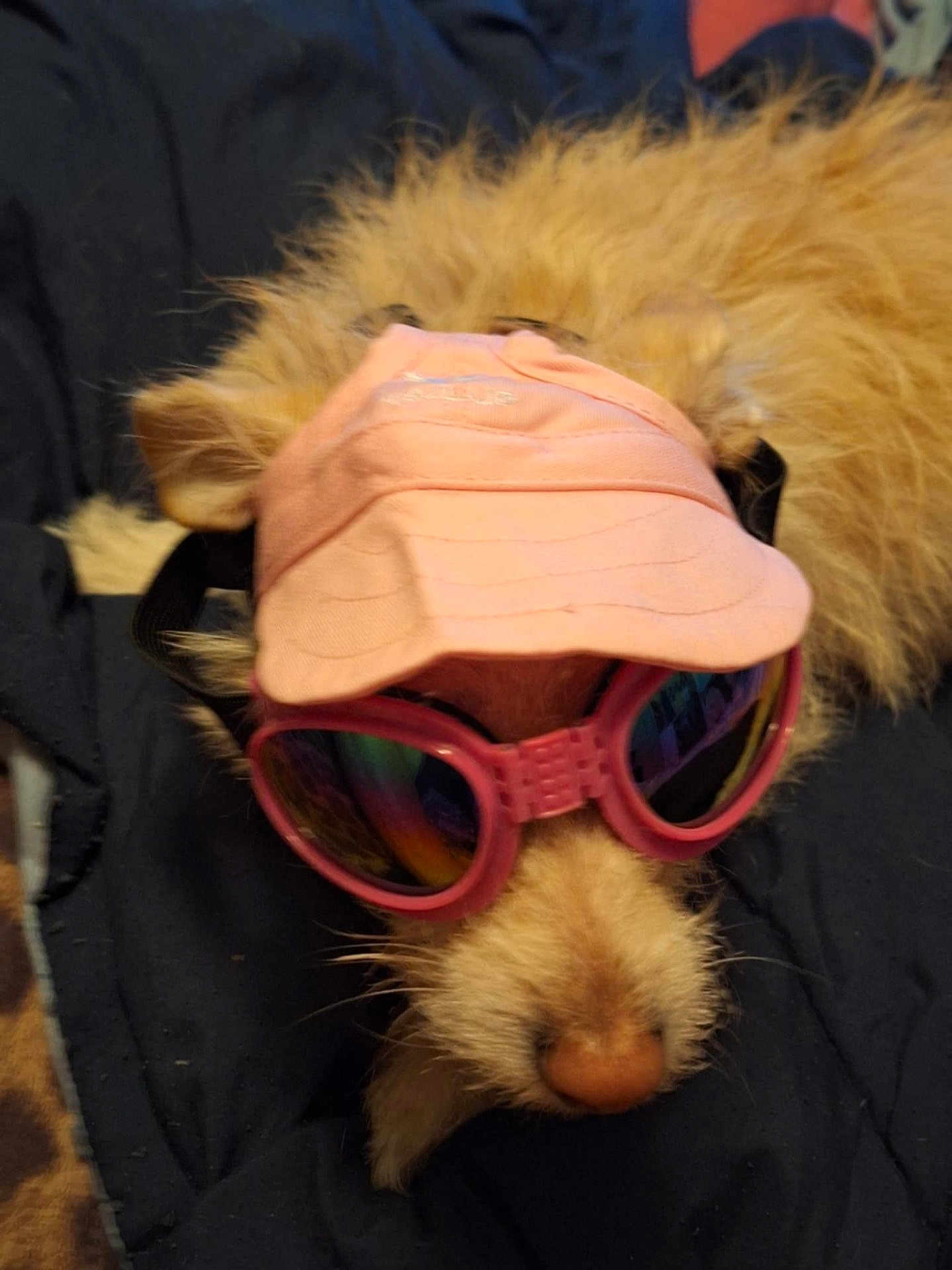 Lulu