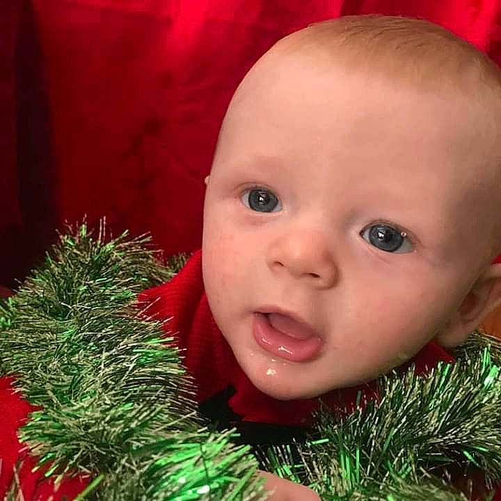 Lance joined the competition — help win amazing prizes! baby, cheek, child, chin, christmas, christmas_ornament, eye, face, fir, grass, head, lip, mouth, nose, person, photography, plant, skin, smile, toddler