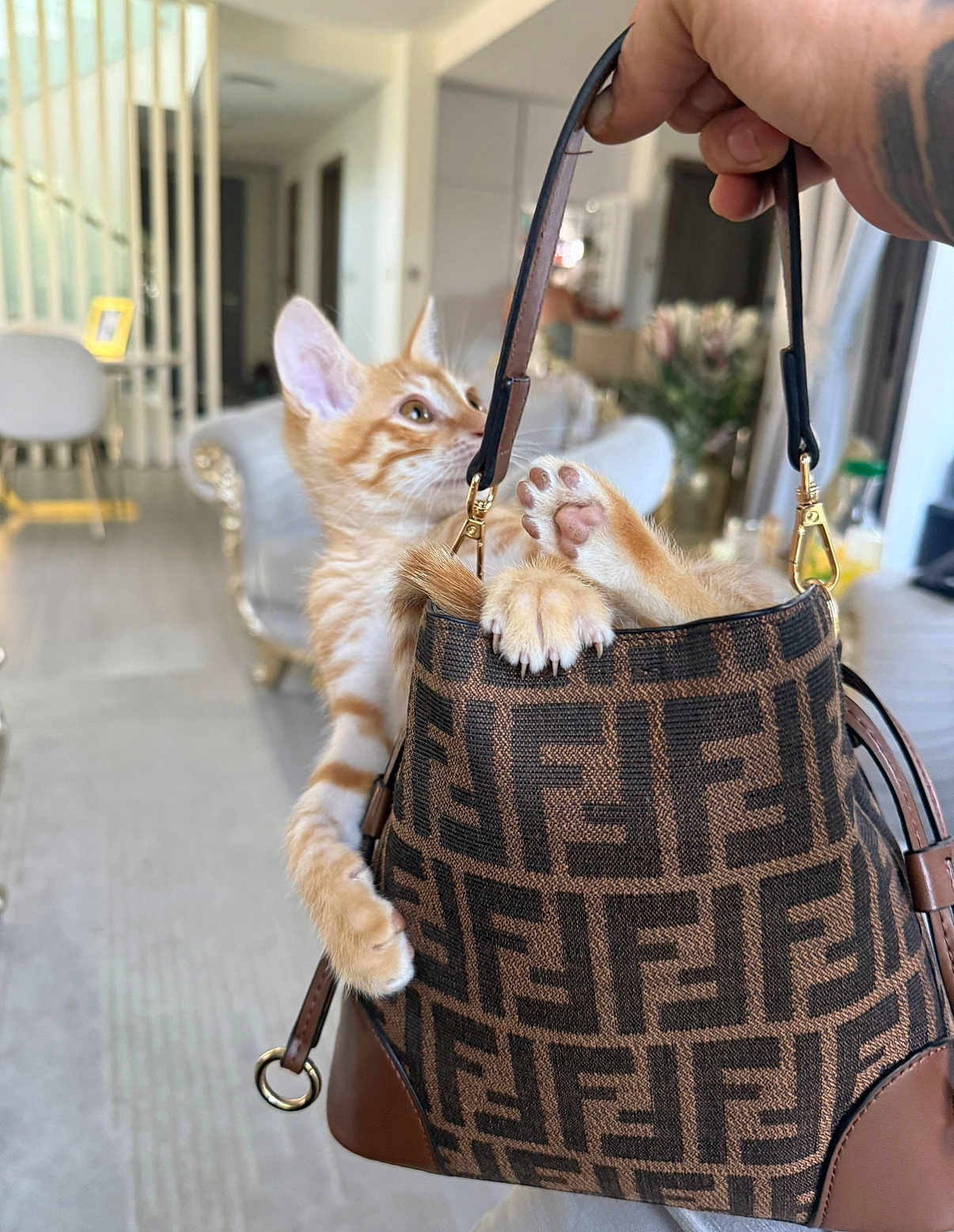 Simba