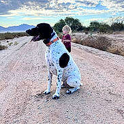 Toby is registered to the contest to win money with this photo: dog, child, dirt_road, desert, cloudy_sky, mountains, outdoor, nature, animal, pet, blonde_hair, collar, sitting, landscape, sky, vegetation, person, tongue_out, daytime, casual_clothing