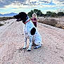 dog, child, dirt_road, desert, cloudy_sky, mountains, outdoor, nature, animal, pet, blonde_hair, collar, sitting, landscape, sky, vegetation, person, tongue_out, daytime, casual_clothing