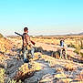 Toby is registered to the contest to win money with this photo: man, dog, camouflage_clothing, shotgun, desert, trail, sunlight, sky, mountains, outdoor, pet, animal, hunting, nature, landscape, grass, bushes, boots, back_view, walking