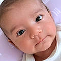 Nourzia T.