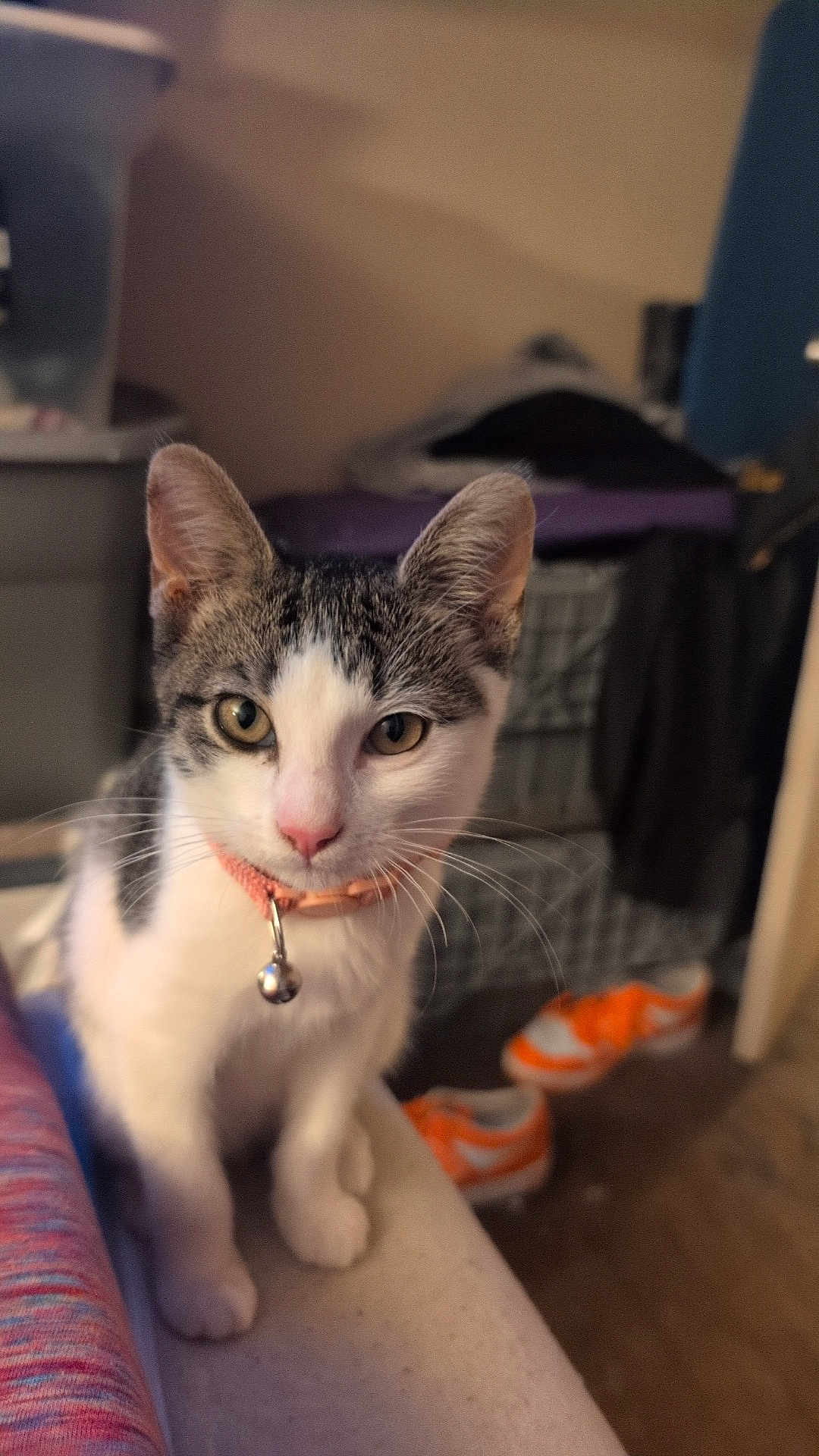 Skylar