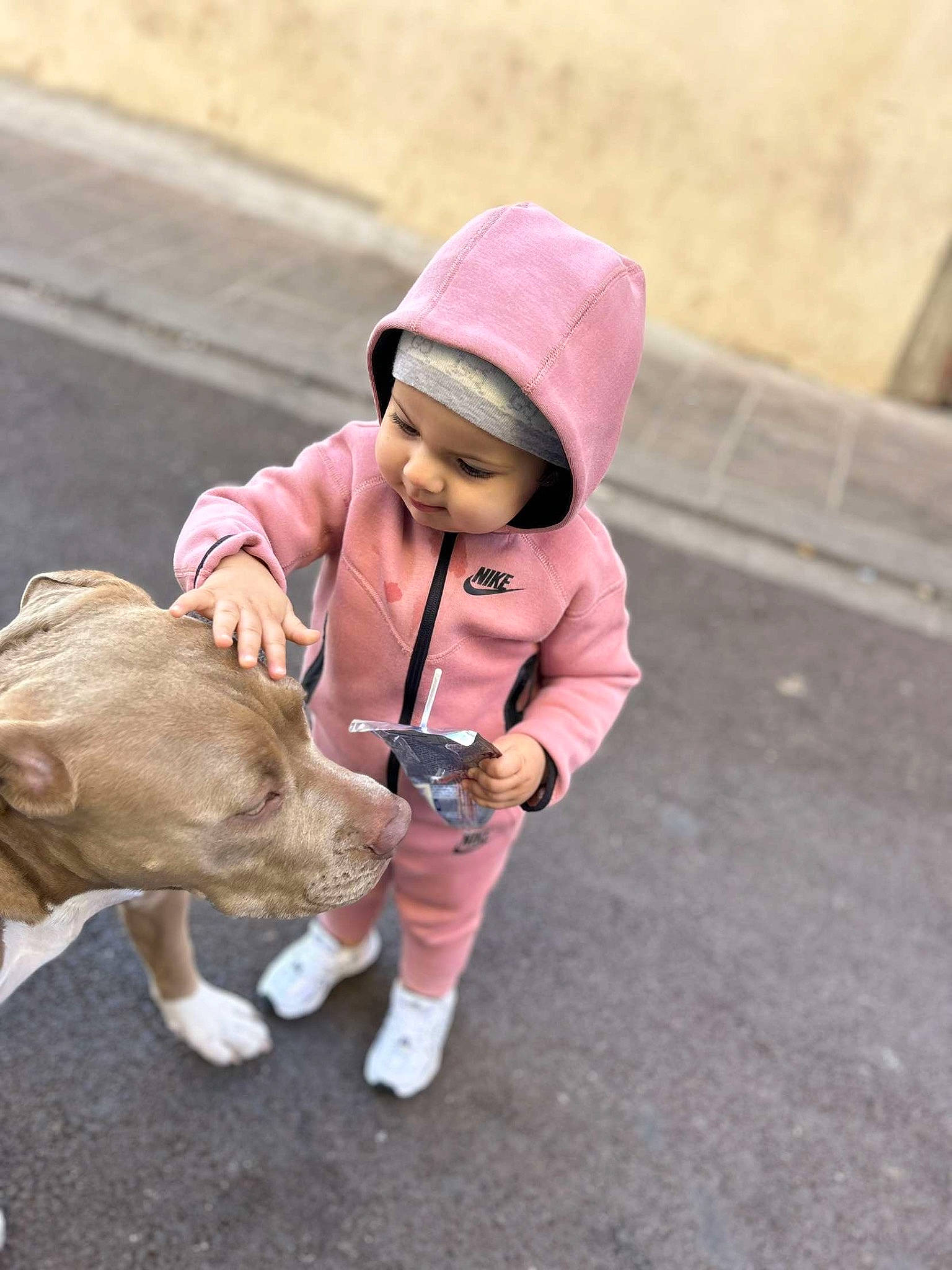 Lilya participe au concours pour gagner de l'argent avec cette photo : asphalt, cap, child, companion_dog, dog_breed, fashion_accessory, fawn, fur, hat, headwear, leash, person, recreation, road, road_surface, sidewalk, sitting, street, toddler, toy