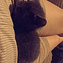 kitten, black_cat, lap, person, fabric, patterned_clothing, cozy, indoor, resting, pet, animal, furry, cute, soft, closeup, comfort, relaxation, warm, calm, domestic
