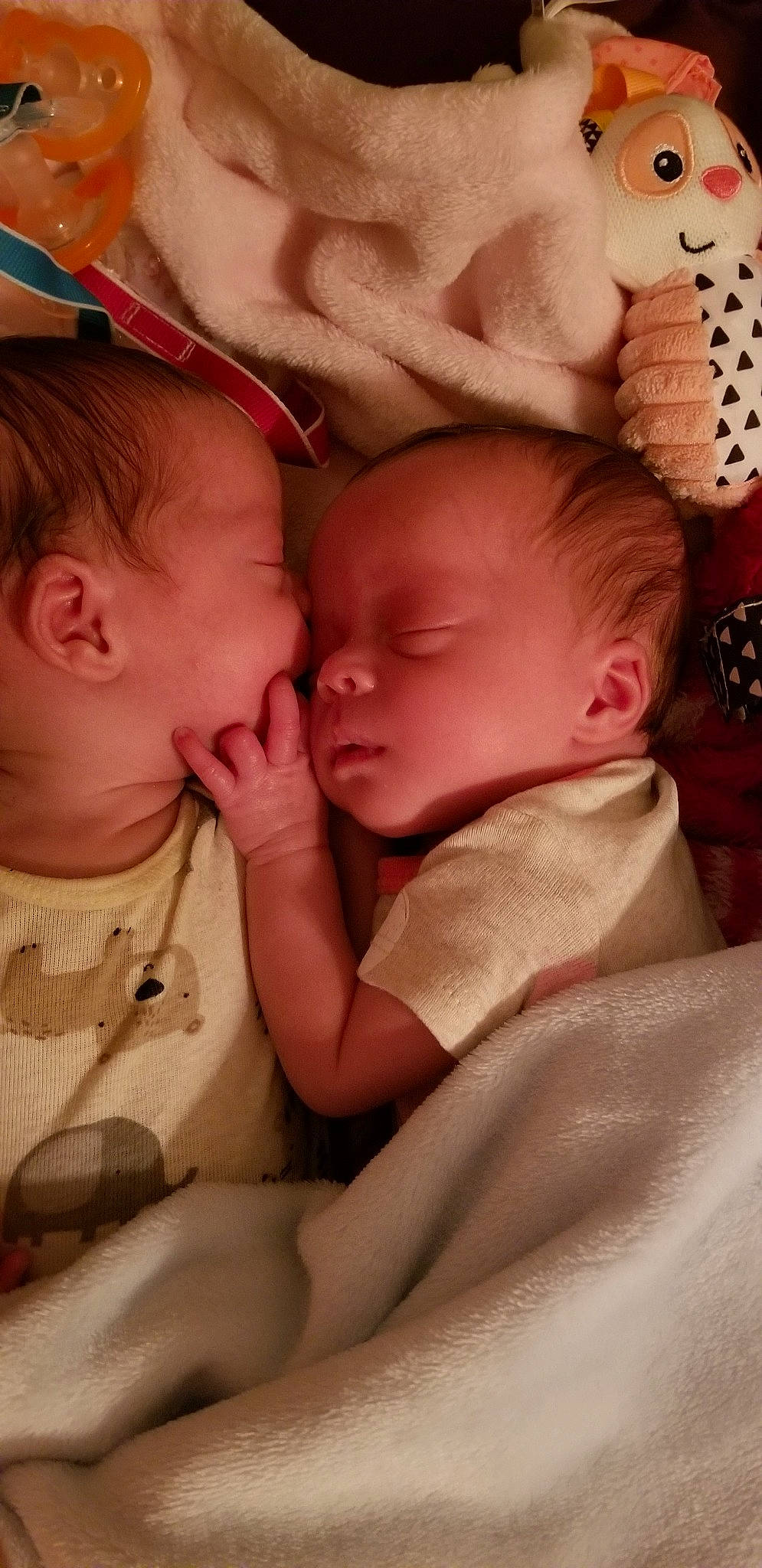 Jenae is registered to the contest to win money with this photo: baby, bedtime, birth, cheek, child, forehead, gesture, interaction, lip, love, mouth, nap, nose, person, skin, sleep, toddler