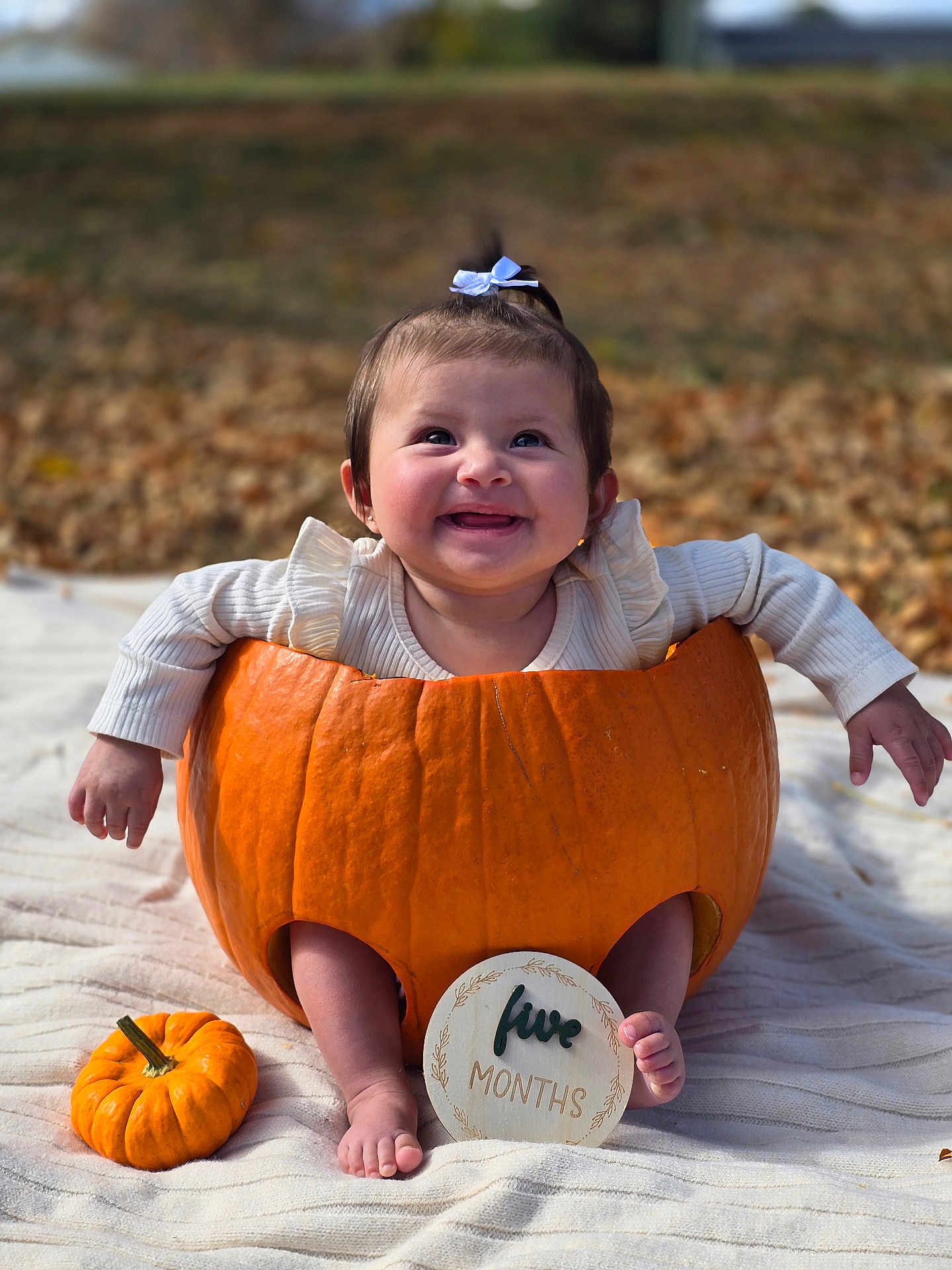 Anniliah is registered to the contest to win money with this photo: baby, pumpkin, infant, smiling, outdoor, blanket, fall, autumn, cute, child, orange, white_clothing, bow, feet, happy, nature, seasonal, portrait, grass, sign