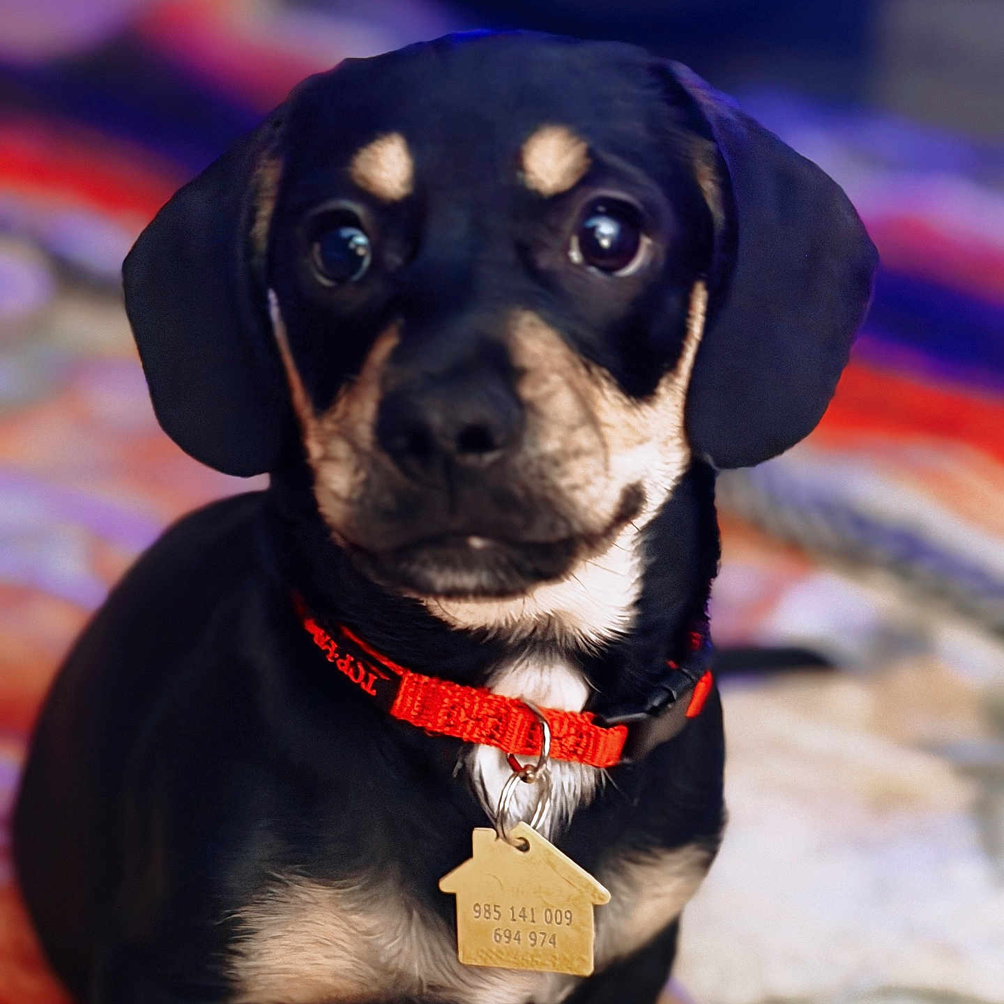Remi