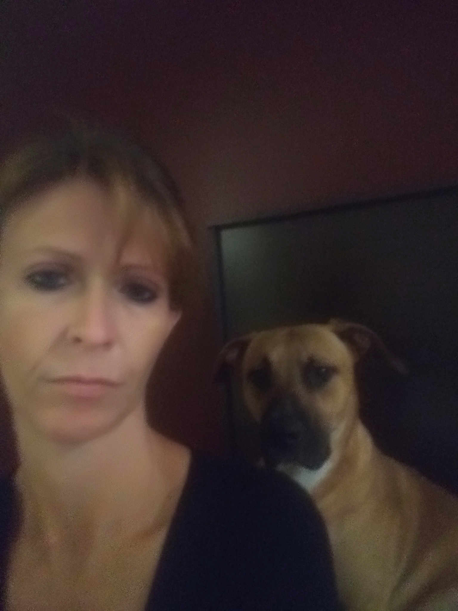 Cujo