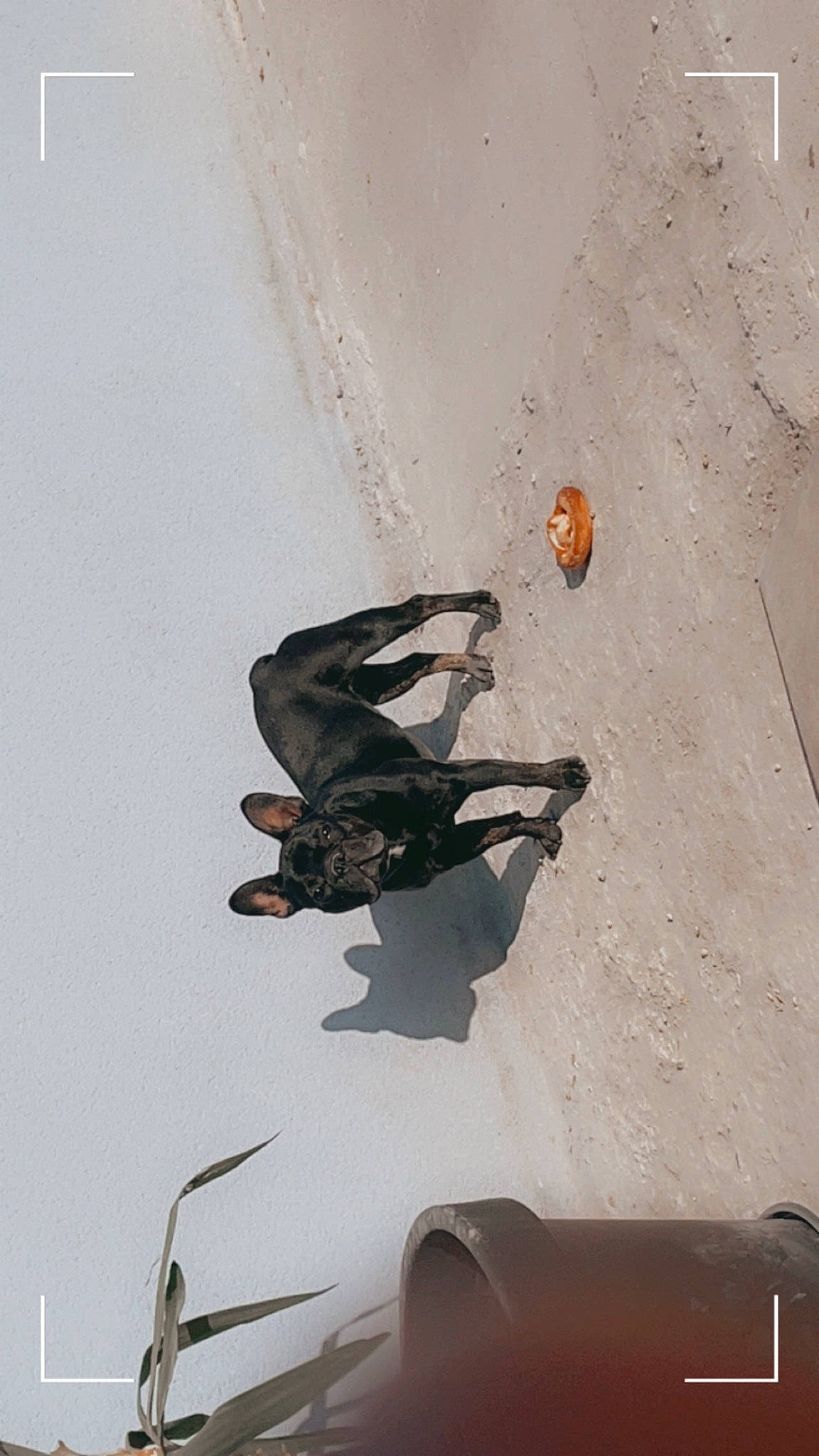 Rubby participe au concours pour gagner de l'argent avec cette photo : beach, extreme_sport, foot, human_leg, illustration, landscape, ocean, recreation, sand, shadow, sitting, soil, tints_and_shades, tree, wing, wood