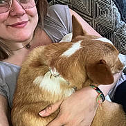 Sadie May joined the competition — help win amazing prizes! woman, dog, glasses, couch, hand, smile, pet, indoor, casual, patterned_cushion, brown_fur, white_fur, closeup, portrait, relaxed, cozy, affection, friendship, comfort, home