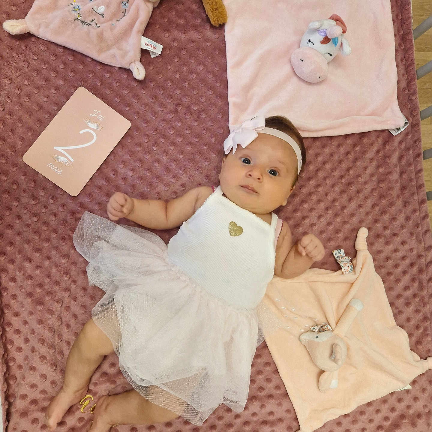 Jade participe au concours pour gagner de l'argent avec cette photo : adorable, baby, blanket, child, cute, decor, dress, floor, headband, indoors, infant, lying_down, milestone_card, person, pink, plush_toy, soft_texture, tutu, white, young
